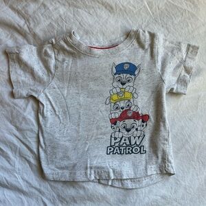 Paw Patrol Kids Light Gray T-Shirt with Character Stack